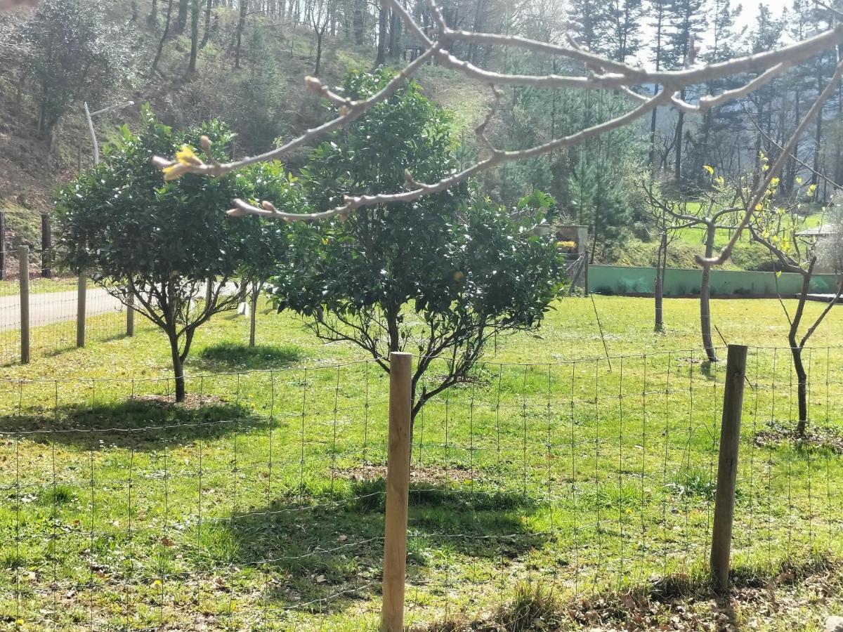Ferienwohnung Leku Eder Areatza Exterior foto