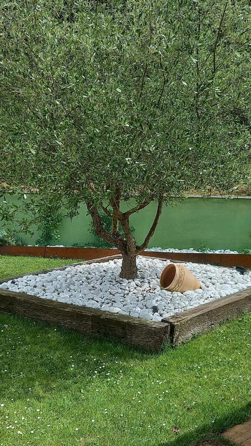 Ferienwohnung Leku Eder Areatza Exterior foto